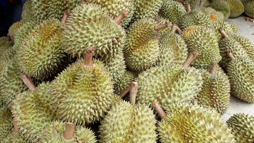 Campaign Launched to Boost Fruit Exports from Thailand  to China