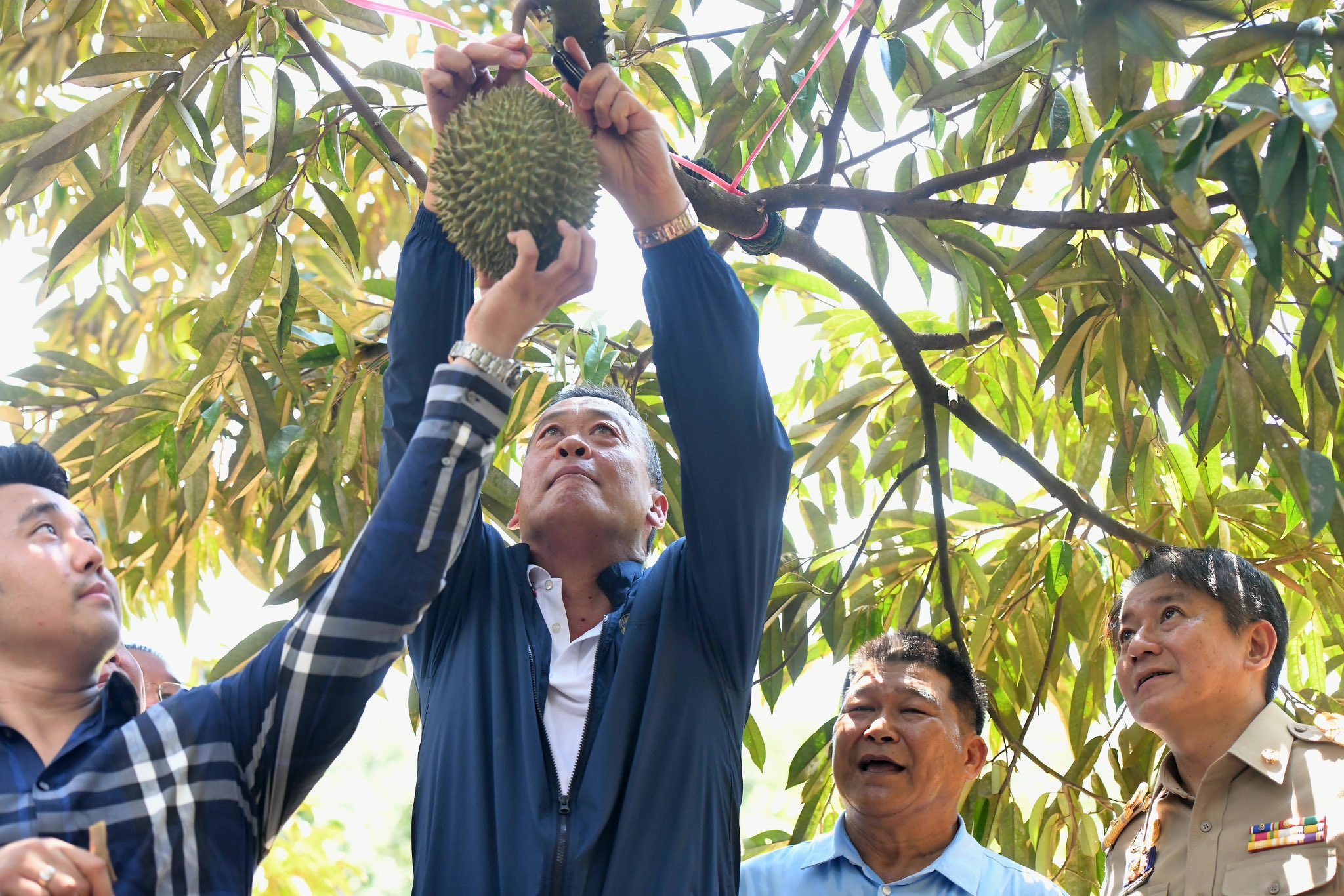 Government Stresses Its Support for Exports of Durian and Other Tropical Fruits
